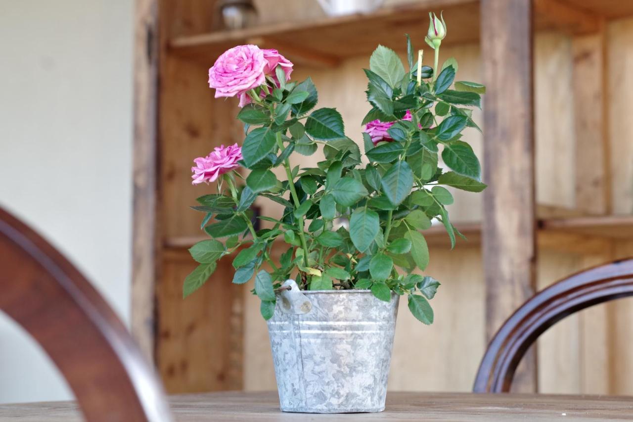 Beb Montefratta Bed & Breakfast Fratta Terme Eksteriør bilde